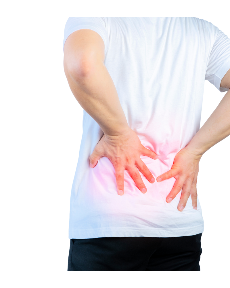 PAIN & INFLAMMATION RELIEF - Healing Habits