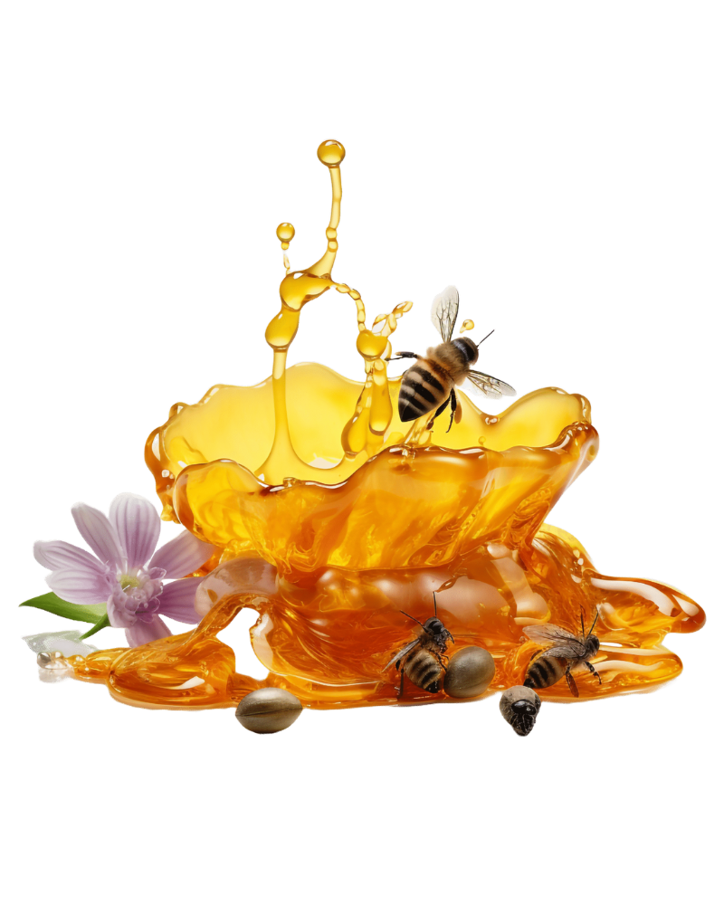 Raw Honey - Healing Habits